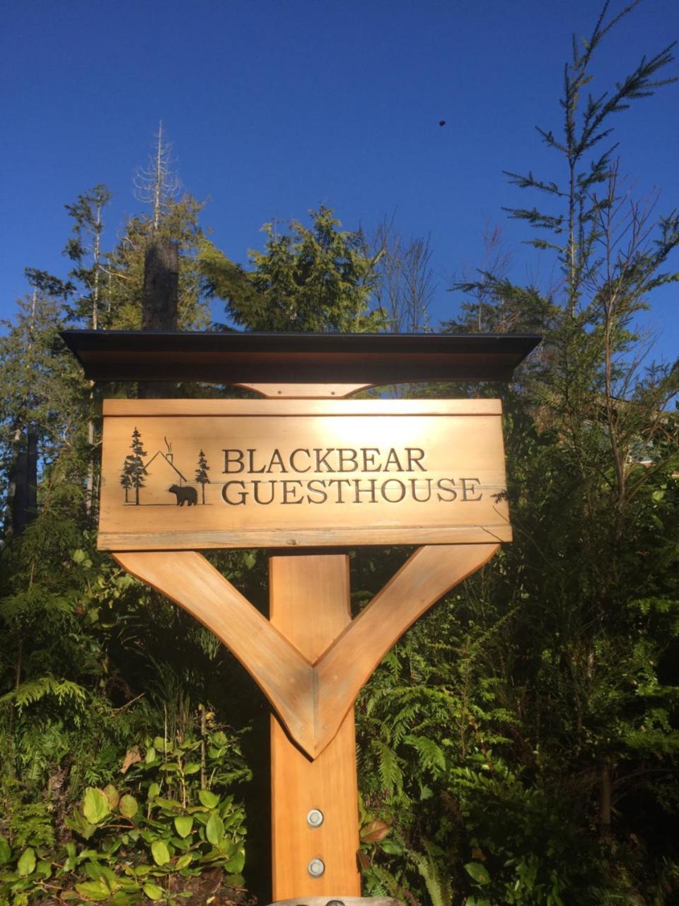 Black Bear Guesthouse توفينو المظهر الخارجي الصورة